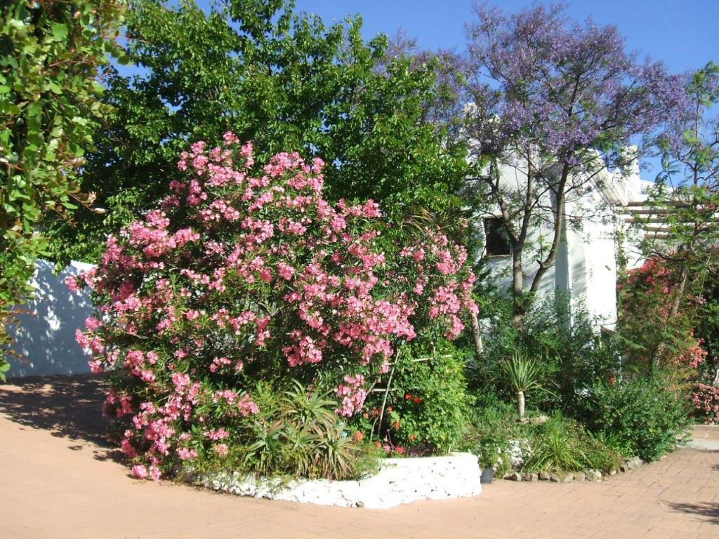 Casa Del Cielo